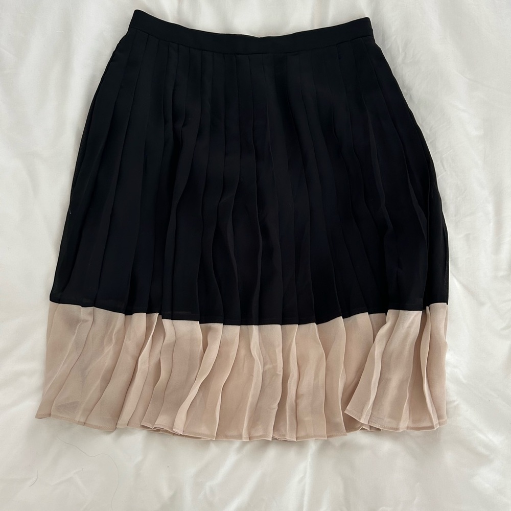 Pleated Ann Taylor skirt